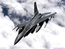 Fond d'écran Fighter en vedette #15