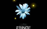 Fringe wallpaper #3