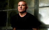 Prison Break Wallpaper #14