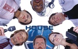 House M.D.豪斯医生壁纸专辑10