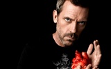 House M.D. wallpaper #16