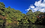 Japan Tour: Rokko Mountain feuilles #20