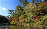 Japan Tour: Rokko Mountain leaves #26