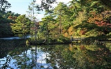 Japan Tour: Rokko Mountain feuilles #28