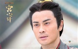 TVB Tai Qing Palace intrigues Fond d'écran #17