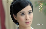 TVB Tai Qing Palace pikle Wallpaper #21