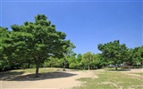 寧靜庭園 公園美景壁紙 #26