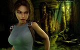 Лара Мститель Croft Tomb 10 лет обои #7