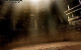 Лара Мститель Croft Tomb 10 лет обои #12