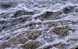 Neustále proudící Žlutá řeka - Hukou Waterfall cestovních poznámek (Minghu Metasequoia práce) #14