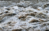 Neustále proudící Žlutá řeka - Hukou Waterfall cestovních poznámek (Minghu Metasequoia práce) #18