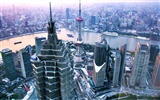 Metropolis - Shanghai Impression (Minghu Metasequoia works)