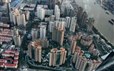 Metropolis - Shanghai dojem (Minghu Metasequoia práce) #13