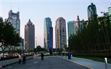 Metropolis - Shanghai dojem (Minghu Metasequoia práce) #16