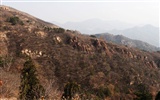 Beijing Tour - Grande Muraille de Badaling (œuvres GGC) #5