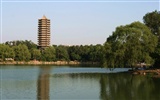Panorama de la Universidad de Pekín (Minghu obras Metasequoia) #9698