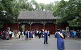 letmý pohled na Peking University (Minghu Metasequoia práce) #11