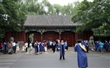 Glimpse of Peking University (Minghu Metasequoia works) #11