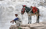 Kontinuierlich fließenden Yellow River - Hukou Waterfall Travel Notes (Minghu Metasequoia Werke)