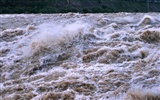 Neustále proudící Žlutá řeka - Hukou Waterfall cestovních poznámek (Minghu Metasequoia práce) #3