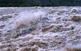 Kontinuierlich fließenden Yellow River - Hukou Waterfall Travel Notes (Minghu Metasequoia Werke) #3