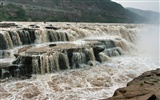 Kontinuierlich fließenden Yellow River - Hukou Waterfall Travel Notes (Minghu Metasequoia Werke) #9722