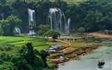 Detian Falls (Minghu obras Metasequoia) #10046