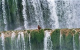 Detian Falls (Minghu obras Metasequoia) #7