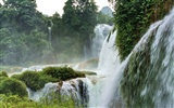 Detian Falls (Minghu Metasequoia práce) #12