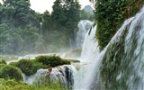 Detian Falls (Minghu œuvres Metasequoia) #12