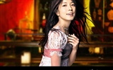 中外美女迷人桌面壁紙 #15