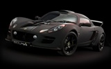 2010 Lotus limited edition sports car wallpaper #3
