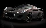 2010 Lotus limited edition sports car wallpaper #4