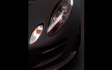 2010 Lotus limited edition sports car wallpaper #12