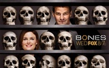 Bones Tapete #5