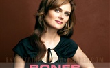 Bones wallpaper #21