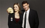 Bones Tapete #29