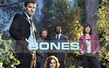 Bones Tapete #34