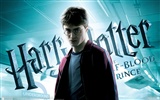 Harry Potter y el fondo de pantalla El príncipe mestizo #2
