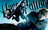 Harry Potter a Half-Prince dvojí krve tapeta #6