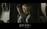 Harry Potter et le papier peint Half-Blood Prince #8