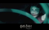 Harry Potter a Half-Prince dvojí krve tapeta #9