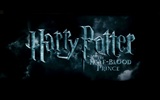 Harry Potter et le papier peint Half-Blood Prince #10