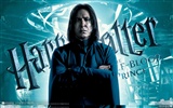 Harry Potter and the Half-Blood Prince Tapete #11