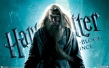 Harry Potter y el fondo de pantalla El príncipe mestizo #12