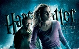 Harry Potter et le papier peint Half-Blood Prince #13