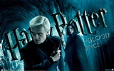 Harry Potter and the Half-Blood Prince Tapete #14