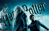 Harry Potter and the Half-Blood Prince Tapete #15