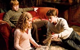 Harry Potter et le papier peint Half-Blood Prince #17