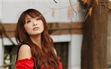 Taiwan MM Yin Fu Tapete Album (3)